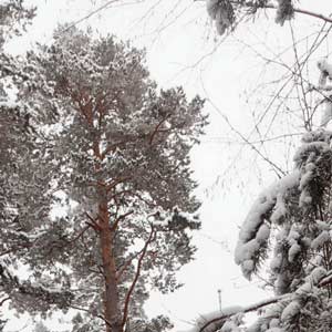 fort d'hiver